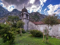 Kotor
